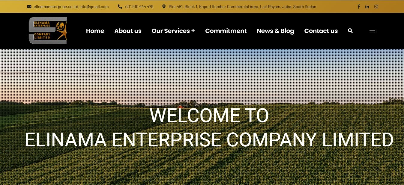 elinamaenterprisecoltd.com preview