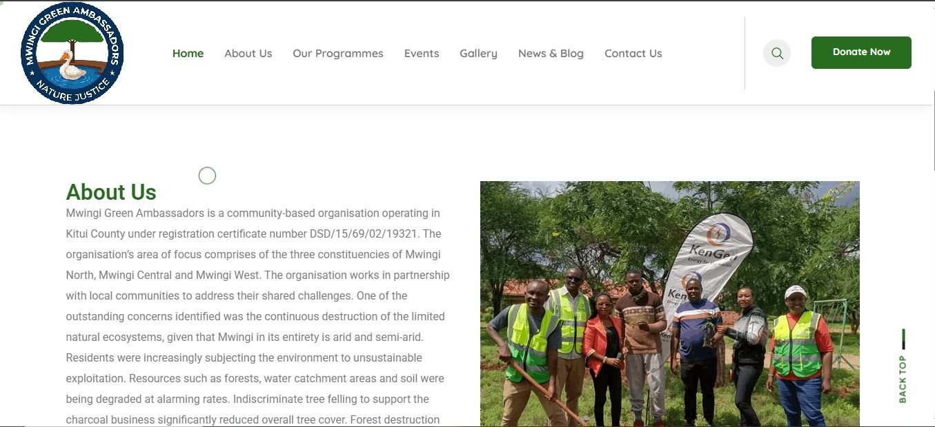 greenambass.org preview